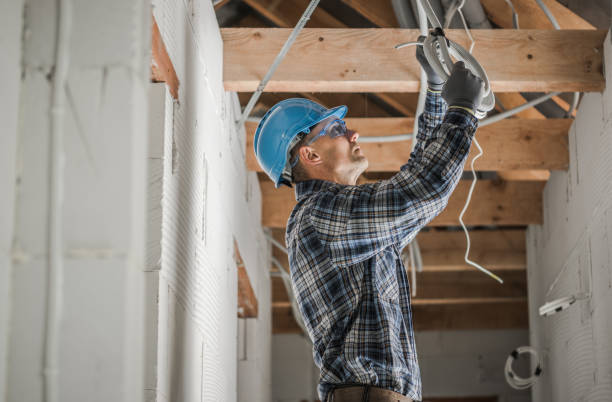 Best Residential Electrician Services  in Mason, MI